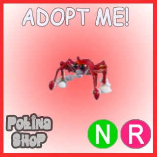 Spider Crab NR