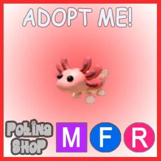 Axolotl MFR