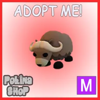 Musk Ox M