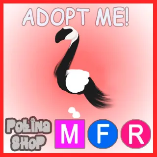 Slimingo MFR
