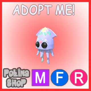 Squid MFR