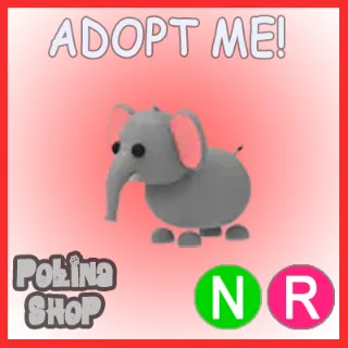 Elephant NR