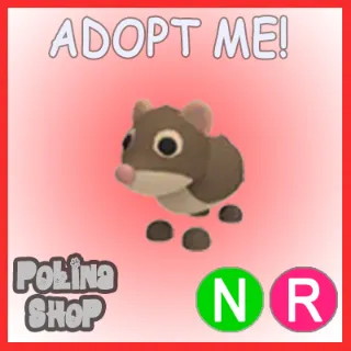 Shrew NR