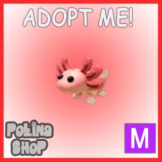 Axolotl M