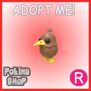 Kiwi R