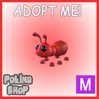 Ant M