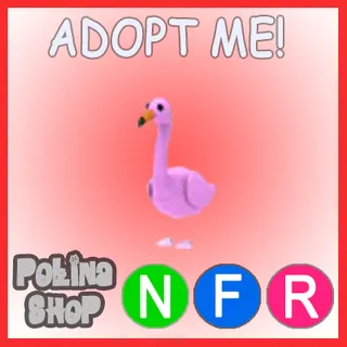 Flamingo NFR
