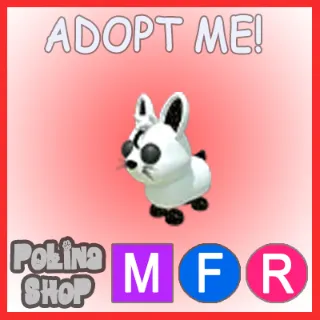 Moon Rabbit MFR