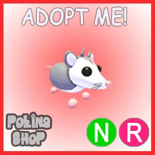 Possum NR