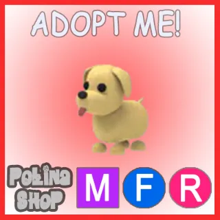 Dog MFR