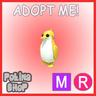 Golden King Penguin MR