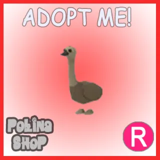 Emu R x4