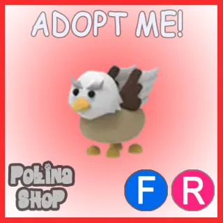 Griffin FR