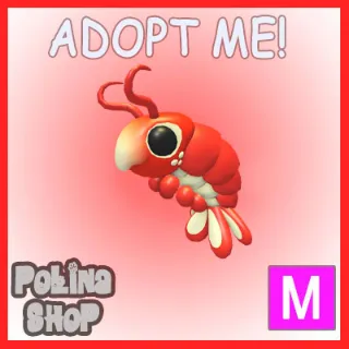 Emperor Shrimp M