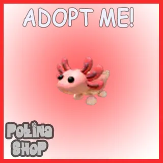 Axolotl x4