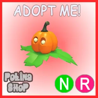Pumpkin Friend NR