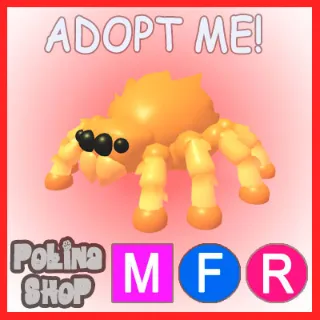 Jumping Spider MFR
