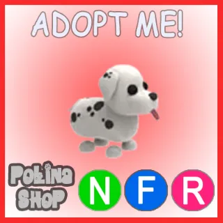 Dalmatian NFR