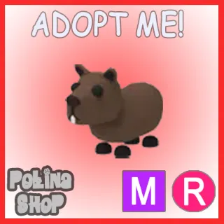 Capybara MR