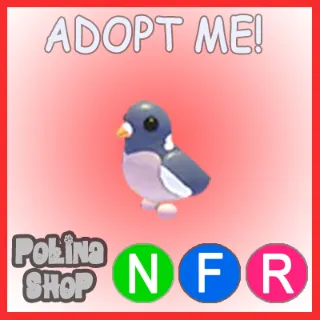 Wood Pigeon NFR