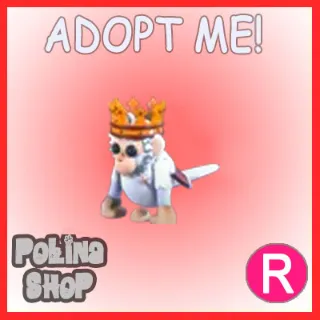 Royal Capuchin Monkey R x4