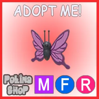 Purple Butterfly MFR