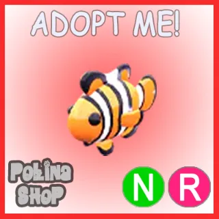 Clownfish NR