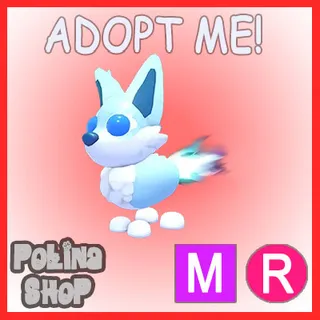 Aurora Fox MR