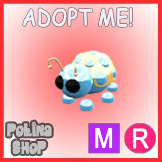 Diamond Ladybug MR