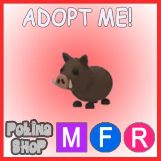 Wild Boar MFR