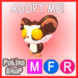 Aye Aye MFR