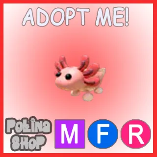Axolotl MFR 