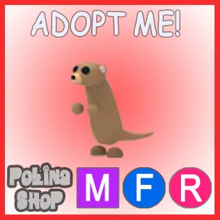 Meerkat MFR