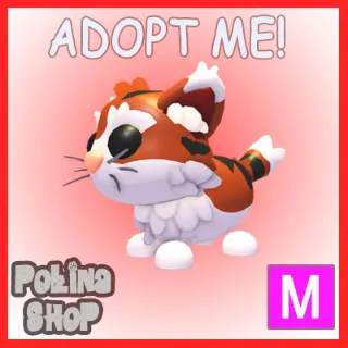 Munchkin Cat M