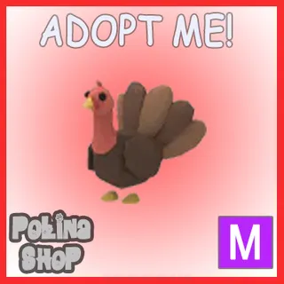 Turkey M