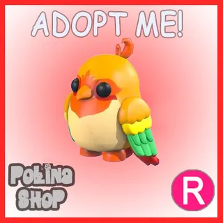 Love Bird R