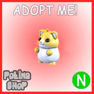 Golden Hamster N