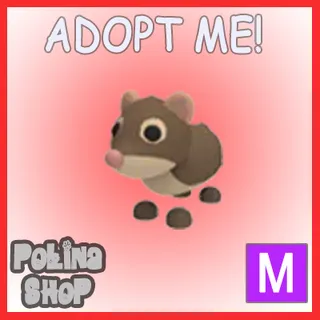 Shrew M