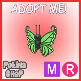 Green Butterfly MR