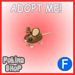 Field Mouse F