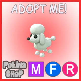 Poodle MFR