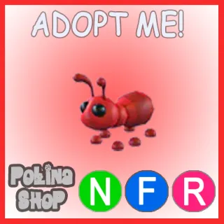 Ant NFR