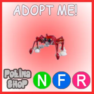 Spider Crab NFR