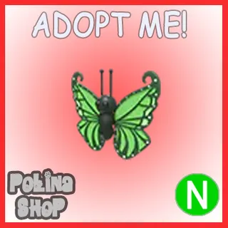 Green Butterfly N