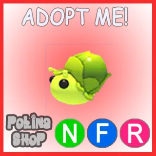 Sprout Snail NFR