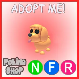 Toy Poodle NFR