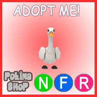 Swan NFR