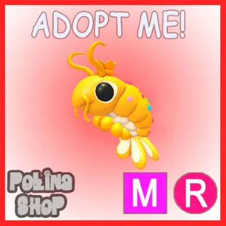 Priceless Shrimp MR