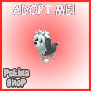 English Sheepdog x4