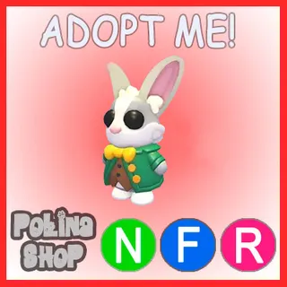 Mr. Whiskerpips NFR